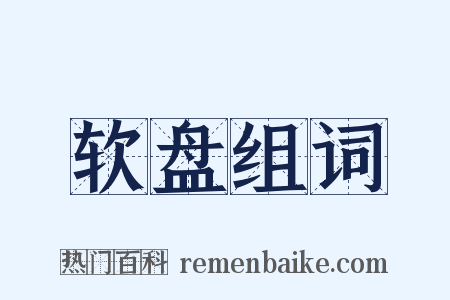 软盘组词是什么意思的图片